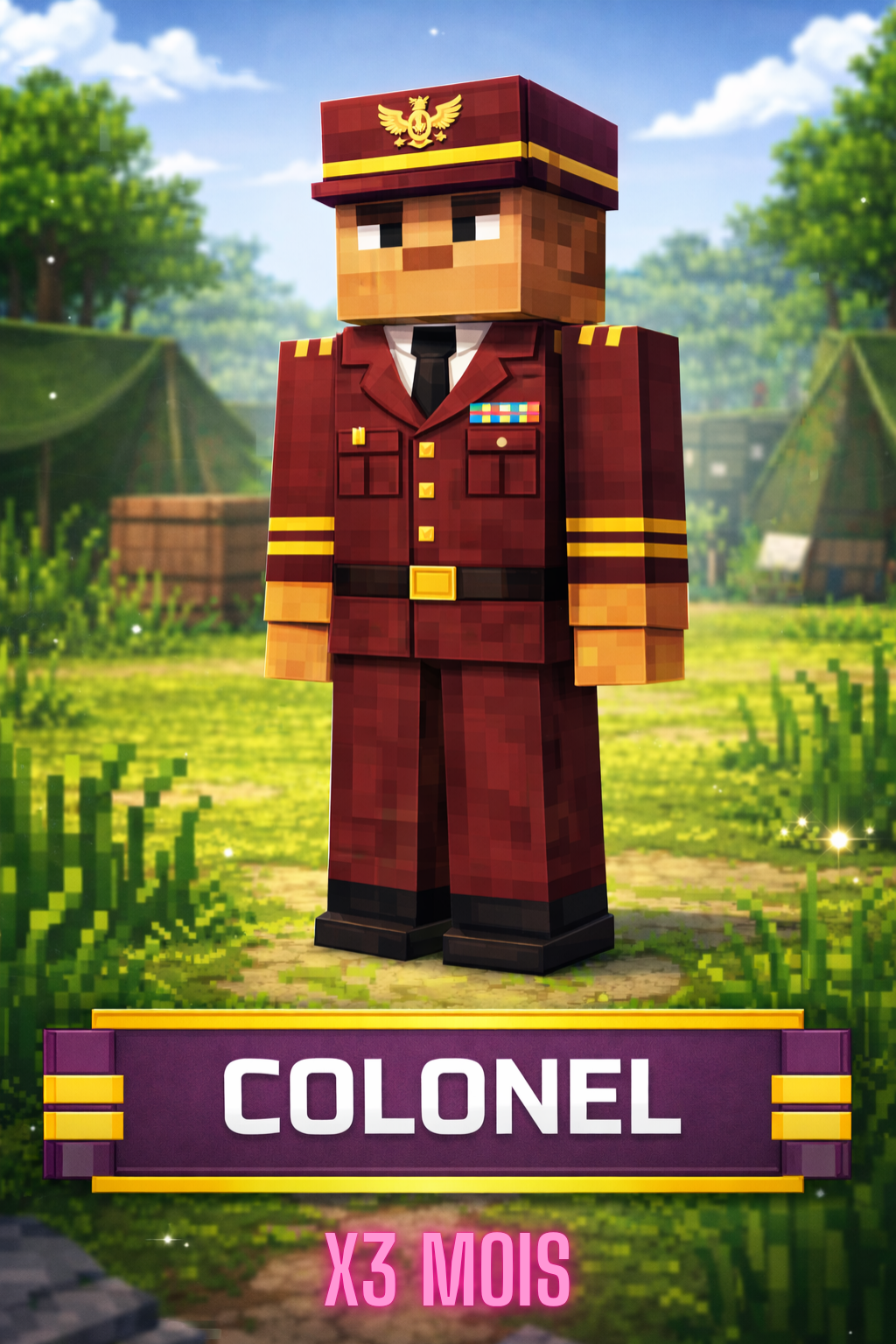 Grade Colonel (3 mois)